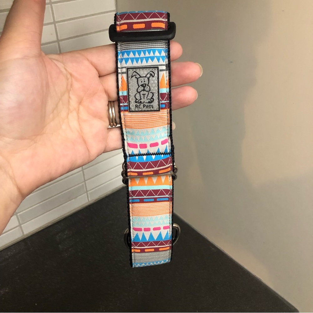 NWOT RC Pets wide martingale dog collar